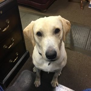 Meet your Posher, Danny